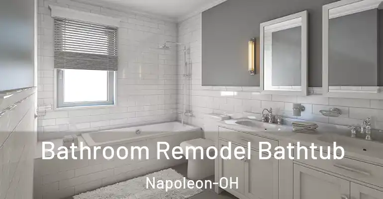 inner Bathroom imggen Bathroom Remodel Bathtub Napoleon-OH