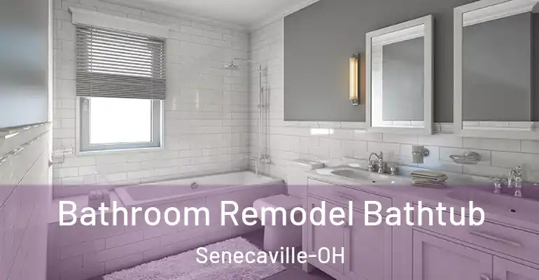 inner Bathroom imggen Bathroom Remodel Bathtub Senecaville-OH