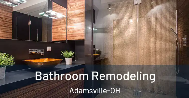 inner Bathroom imggen Bathroom Remodeling Adamsville-OH