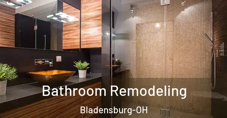 inner Bathroom imggen Bathroom Remodeling Bladensburg-OH
