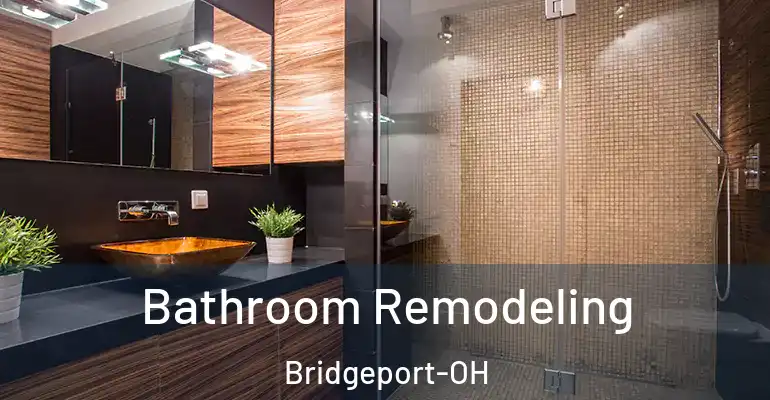 inner Bathroom imggen Bathroom Remodeling Bridgeport-OH