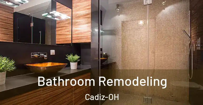 inner Bathroom imggen Bathroom Remodeling Cadiz-OH