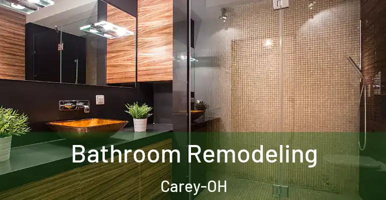 inner Bathroom imggen Bathroom Remodeling Carey-OH