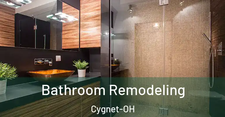 inner Bathroom imggen Bathroom Remodeling Cygnet-OH