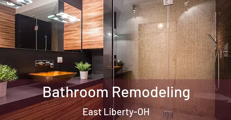 inner Bathroom imggen Bathroom Remodeling East Liberty-OH