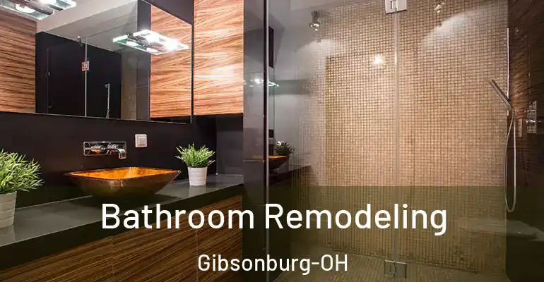 inner Bathroom imggen Bathroom Remodeling Gibsonburg-OH