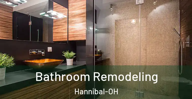 inner Bathroom imggen Bathroom Remodeling Hannibal-OH