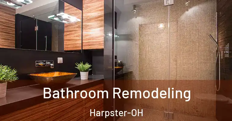 inner Bathroom imggen Bathroom Remodeling Harpster-OH