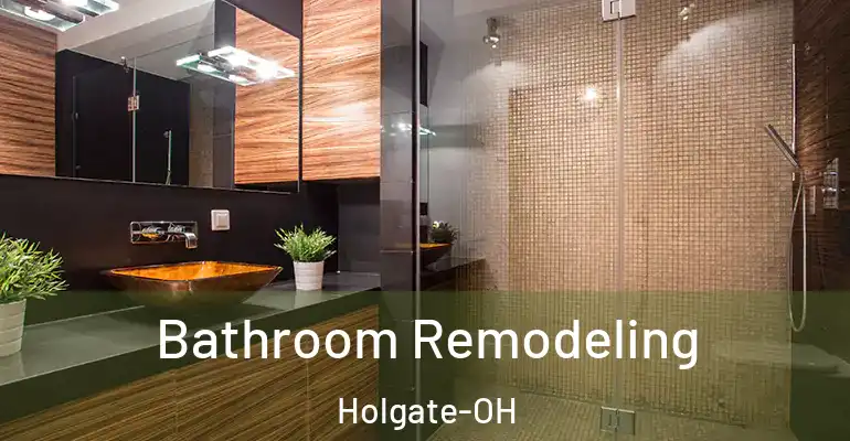 inner Bathroom imggen Bathroom Remodeling Holgate-OH
