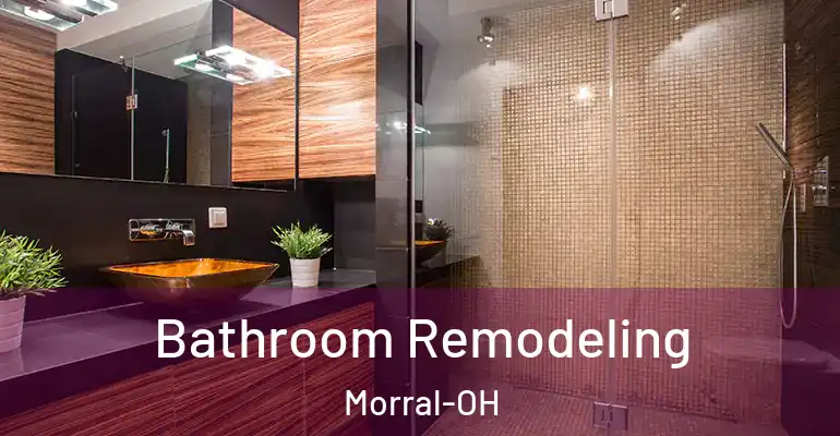 inner Bathroom imggen Bathroom Remodeling Morral-OH