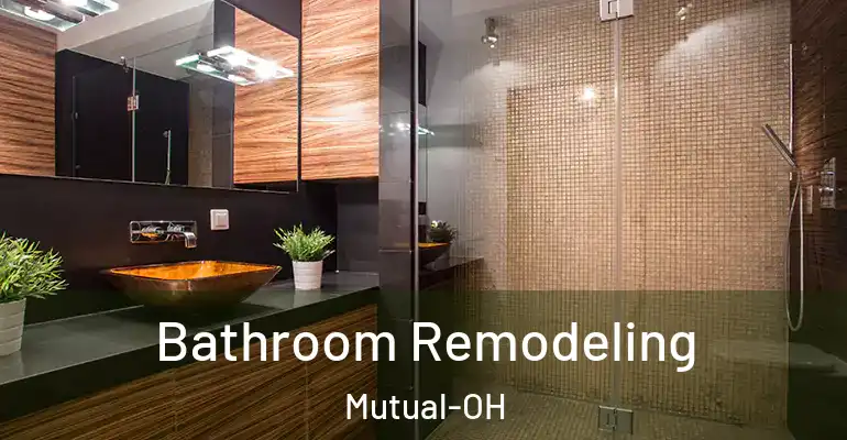 inner Bathroom imggen Bathroom Remodeling Mutual-OH