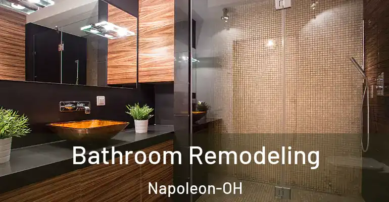 inner Bathroom imggen Bathroom Remodeling Napoleon-OH