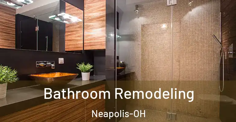 inner Bathroom imggen Bathroom Remodeling Neapolis-OH