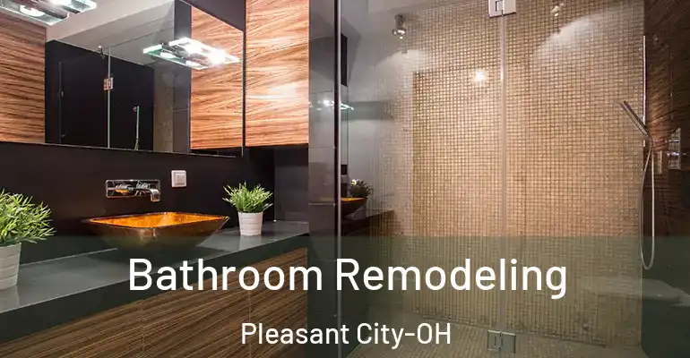 inner Bathroom imggen Bathroom Remodeling Pleasant City-OH