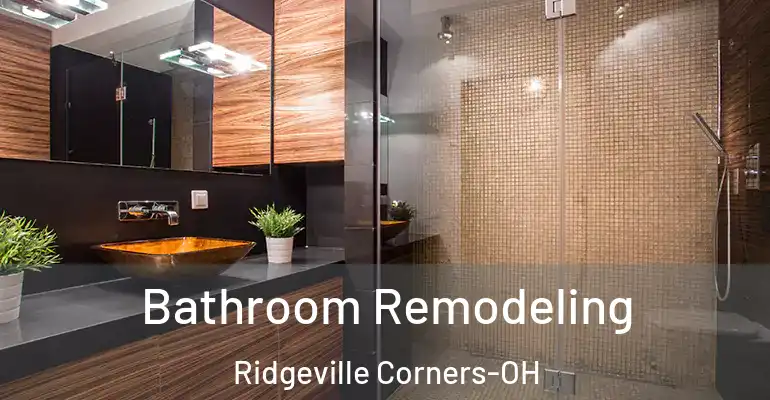 inner Bathroom imggen Bathroom Remodeling Ridgeville Corners-OH