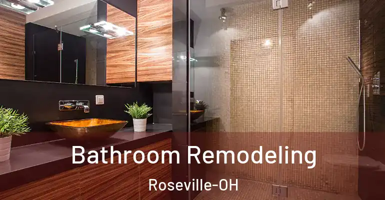 inner Bathroom imggen Bathroom Remodeling Roseville-OH