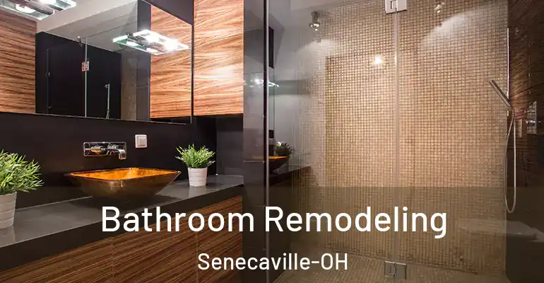 inner Bathroom imggen Bathroom Remodeling Senecaville-OH