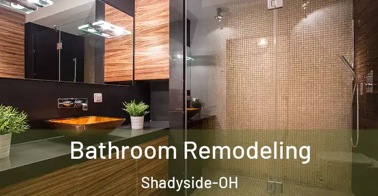 inner Bathroom imggen Bathroom Remodeling Shadyside-OH