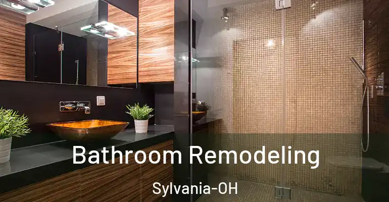 inner Bathroom imggen Bathroom Remodeling Sylvania-OH