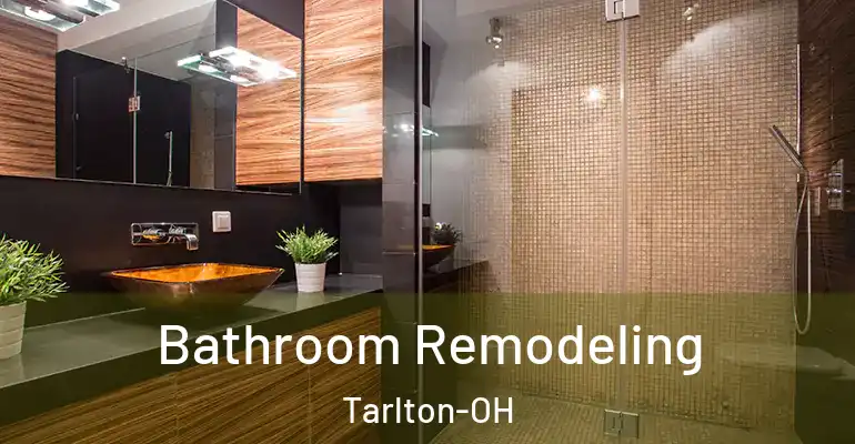 inner Bathroom imggen Bathroom Remodeling Tarlton-OH