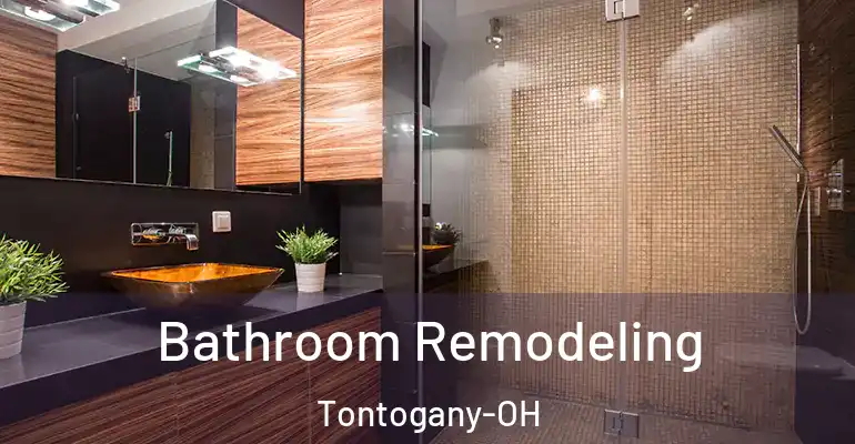 inner Bathroom imggen Bathroom Remodeling Tontogany-OH