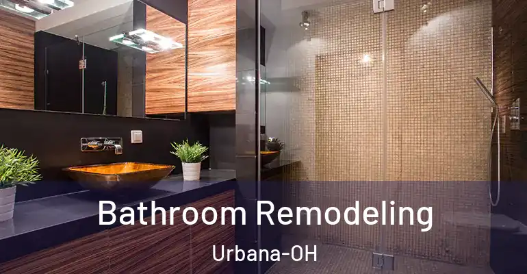 inner Bathroom imggen Bathroom Remodeling Urbana-OH