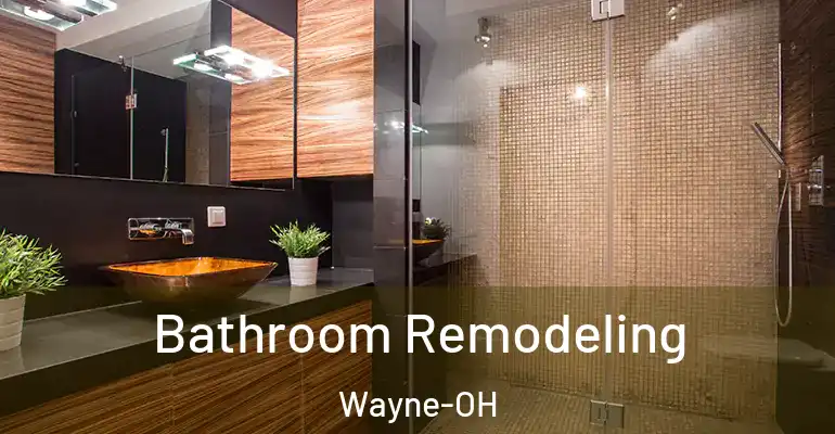inner Bathroom imggen Bathroom Remodeling Wayne-OH