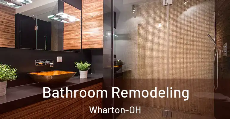 inner Bathroom imggen Bathroom Remodeling Wharton-OH