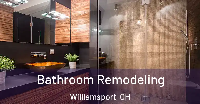 inner Bathroom imggen Bathroom Remodeling Williamsport-OH