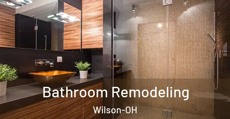 inner Bathroom imggen Bathroom Remodeling Wilson-OH