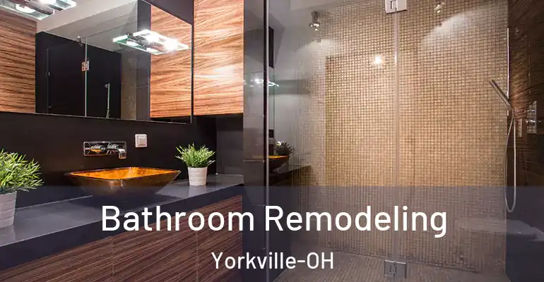 inner Bathroom imggen Bathroom Remodeling Yorkville-OH