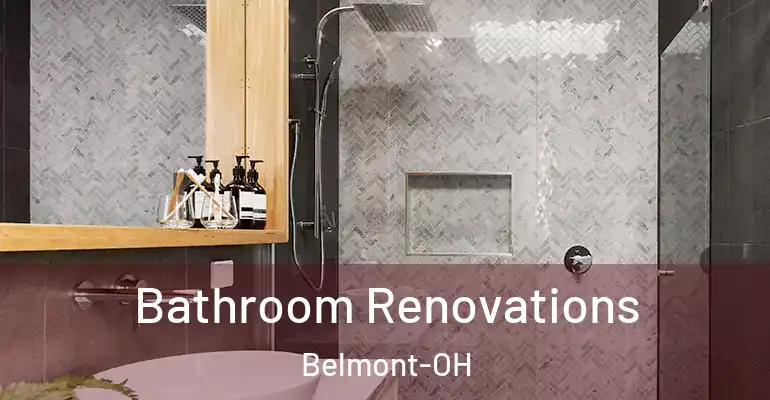 inner Bathroom imggen Bathroom Renovations Belmont-OH