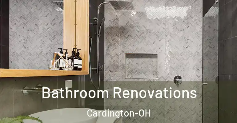inner Bathroom imggen Bathroom Renovations Cardington-OH