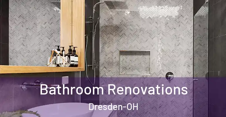 inner Bathroom imggen Bathroom Renovations Dresden-OH
