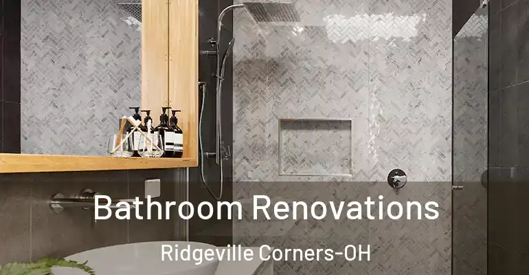 inner Bathroom imggen Bathroom Renovations Ridgeville Corners-OH