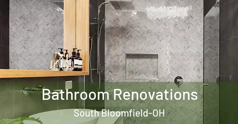 inner Bathroom imggen Bathroom Renovations South Bloomfield-OH