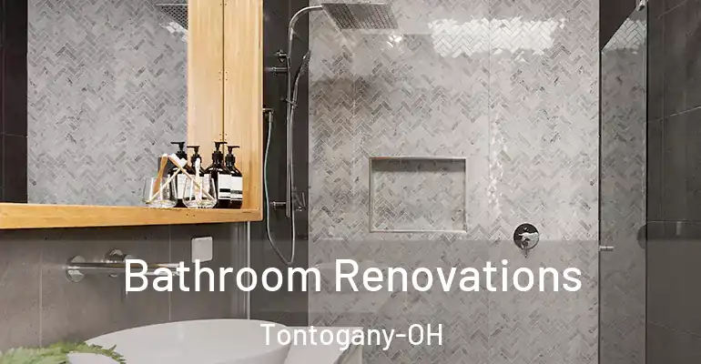 inner Bathroom imggen Bathroom Renovations Tontogany-OH