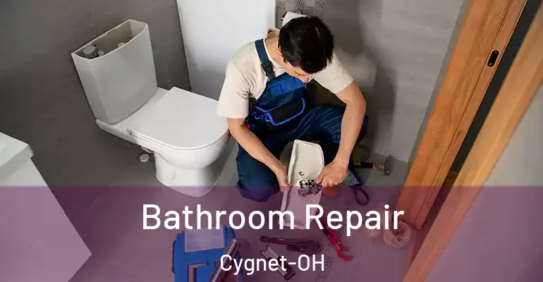 inner Bathroom imggen Bathroom Repair Cygnet-OH