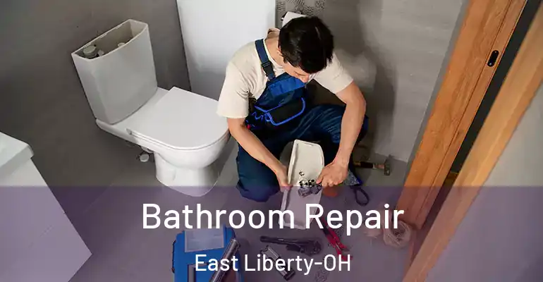 inner Bathroom imggen Bathroom Repair East Liberty-OH