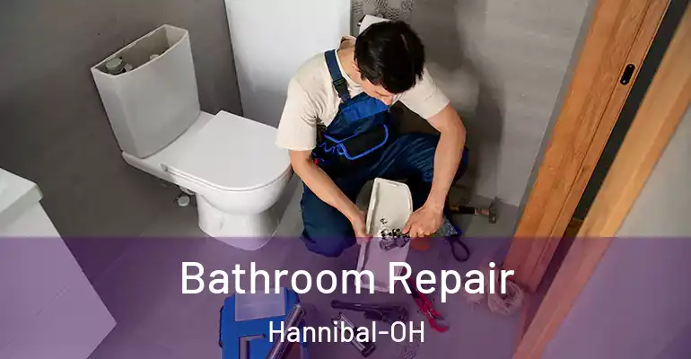 inner Bathroom imggen Bathroom Repair Hannibal-OH
