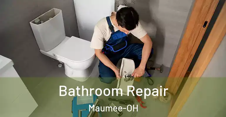 inner Bathroom imggen Bathroom Repair Maumee-OH