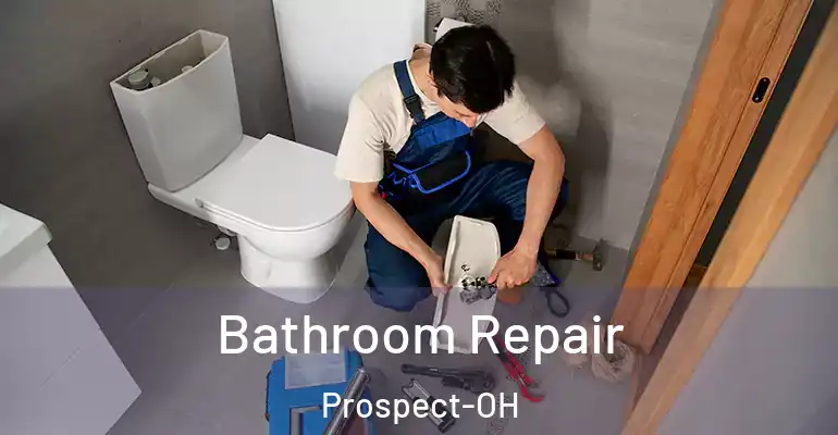 inner Bathroom imggen Bathroom Repair Prospect-OH