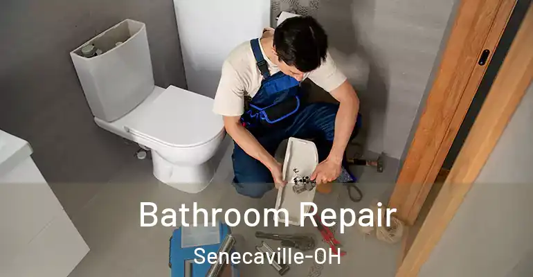 inner Bathroom imggen Bathroom Repair Senecaville-OH