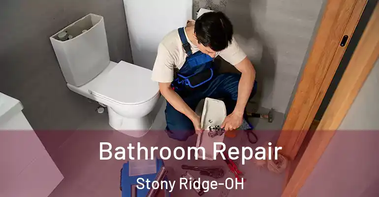 inner Bathroom imggen Bathroom Repair Stony Ridge-OH