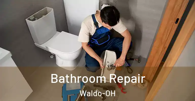 inner Bathroom imggen Bathroom Repair Waldo-OH