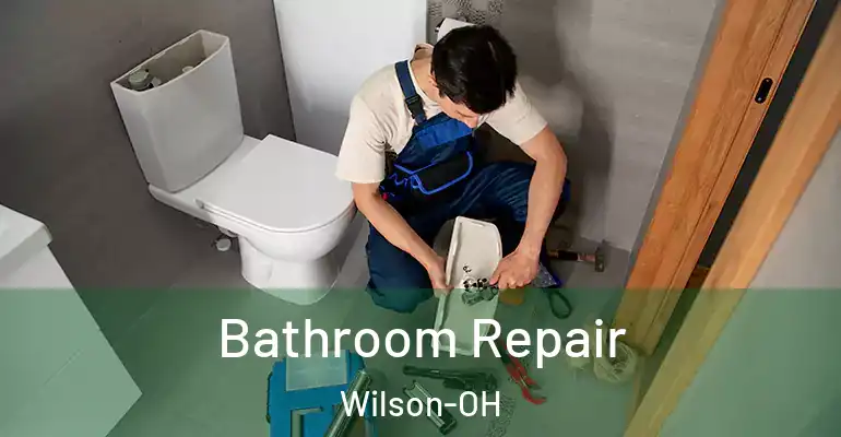inner Bathroom imggen Bathroom Repair Wilson-OH
