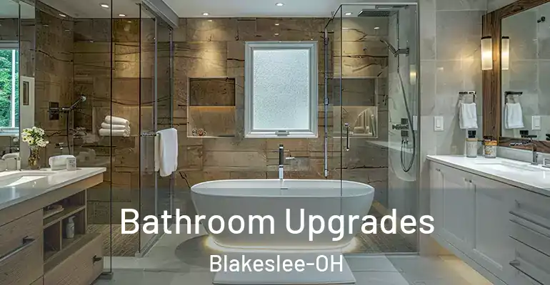 inner Bathroom imggen Bathroom Upgrades Blakeslee-OH