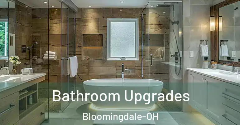 inner Bathroom imggen Bathroom Upgrades Bloomingdale-OH