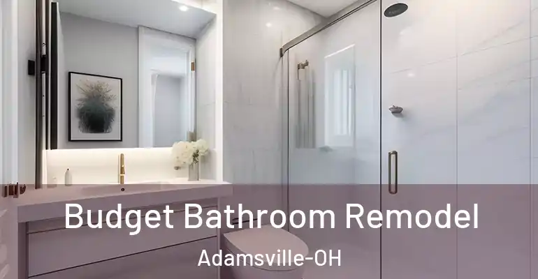 inner Bathroom imggen Budget Bathroom Remodel Adamsville-OH