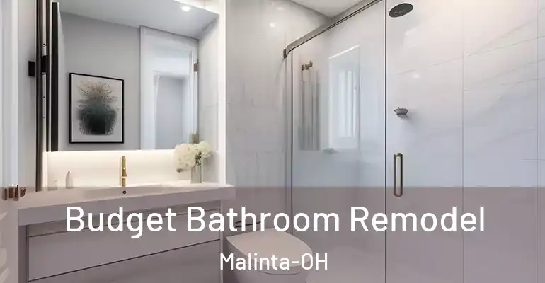 inner Bathroom imggen Budget Bathroom Remodel Malinta-OH
